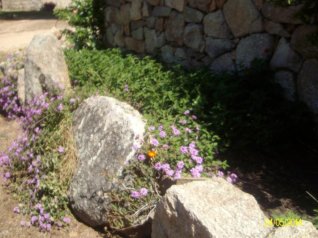 Agriturismo Spridda Bed & Breakfast อาร์ซาเคนา ภายนอก รูปภาพ