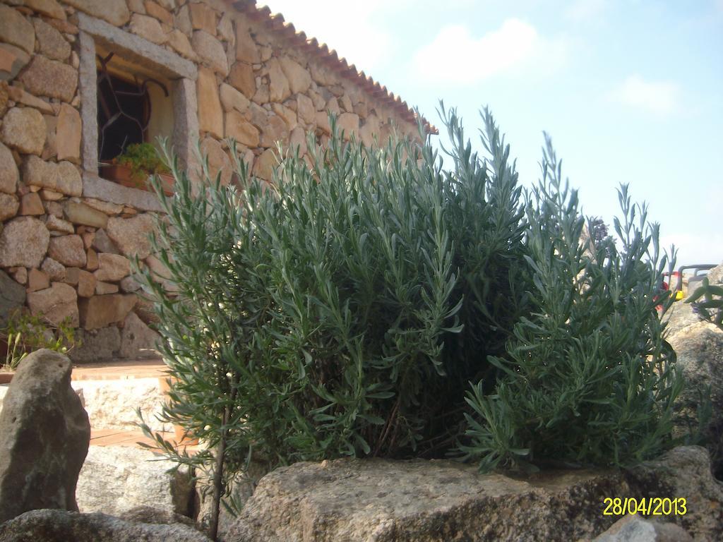Agriturismo Spridda Bed & Breakfast อาร์ซาเคนา ภายนอก รูปภาพ